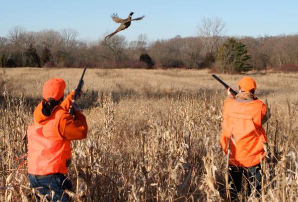 About Brown County Pheasants Forever